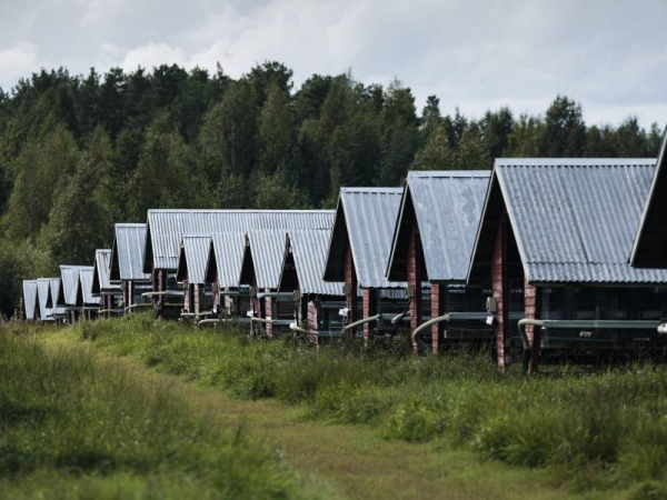 HS: Most Finns consider fur farming unethical
HS: Most Finns consider fur farming unethical