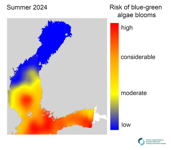 
					
				Significant risk of blue-green algae blooms in Finnish seas this summer
			